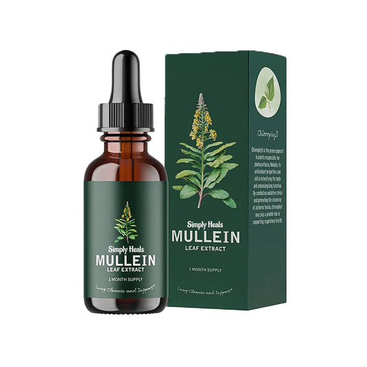 Mullein Leaf & Chlorophyll Extract